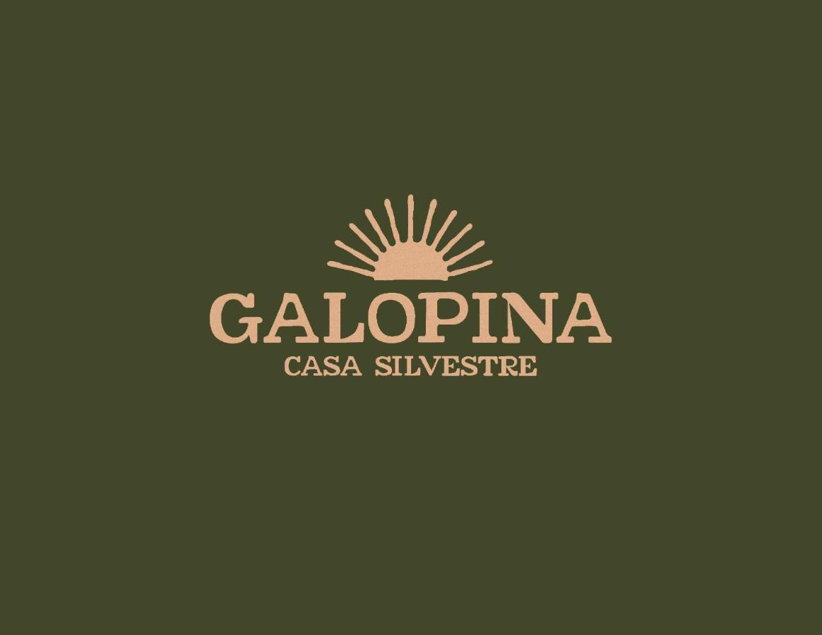 Seye Galopina B&B 외부 사진